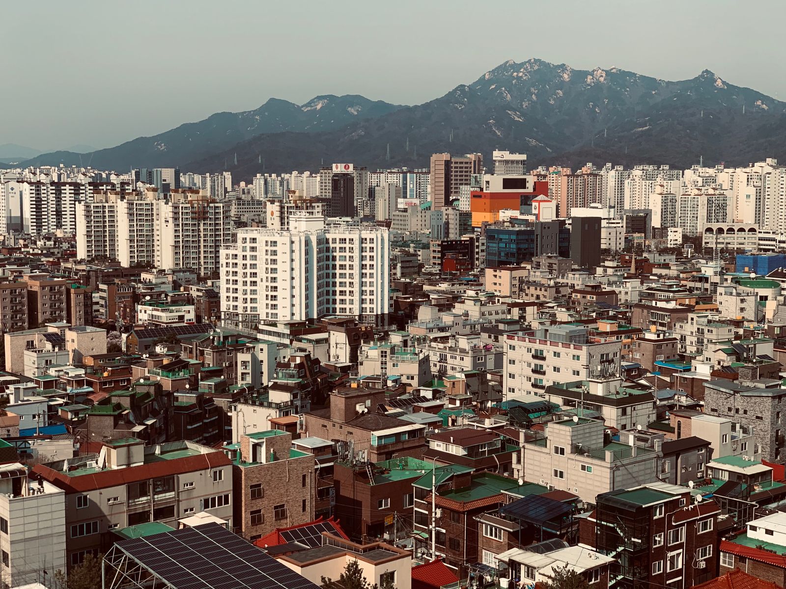 괄사마사지 4